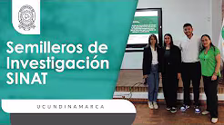 Video de YouTube: Semilleros 8