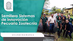 Video de YouTube: Semilleros 11