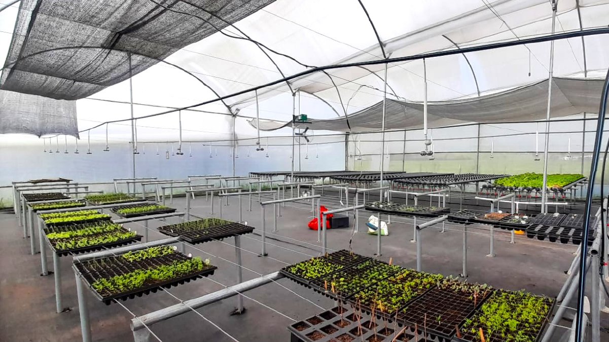 Tecnología, Agro y Educación Impulsan la Sostenibilidad en Facatativá — imagen 2 de 5