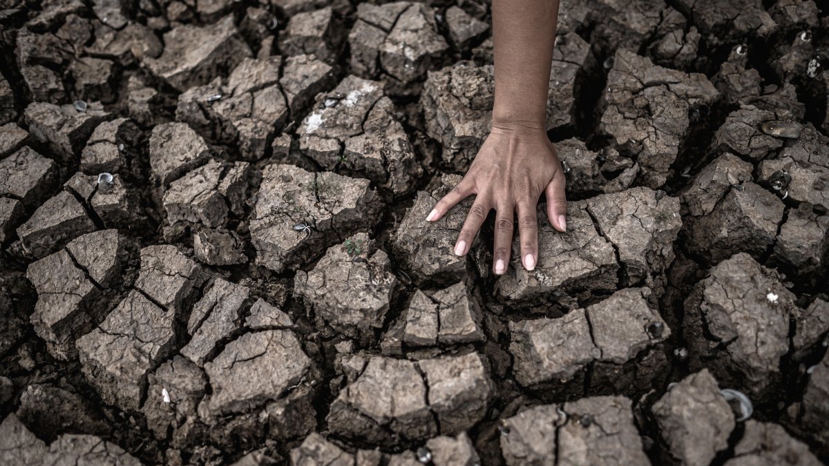 Todos contra del calentamiento global