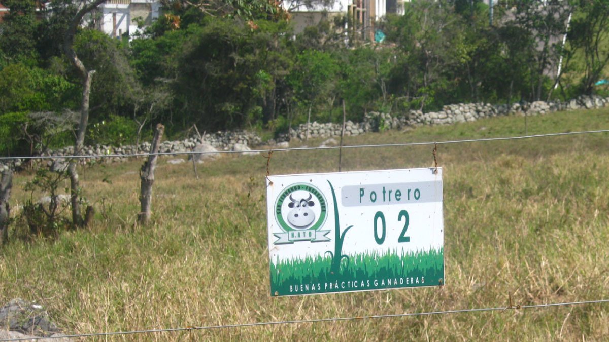 UCundinamarca empodera al sector ganadero del Sumapaz — imagen 4 de 6