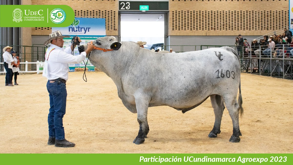 UCundinamarca en Agroexpo 2023 — imagen 10 de 19