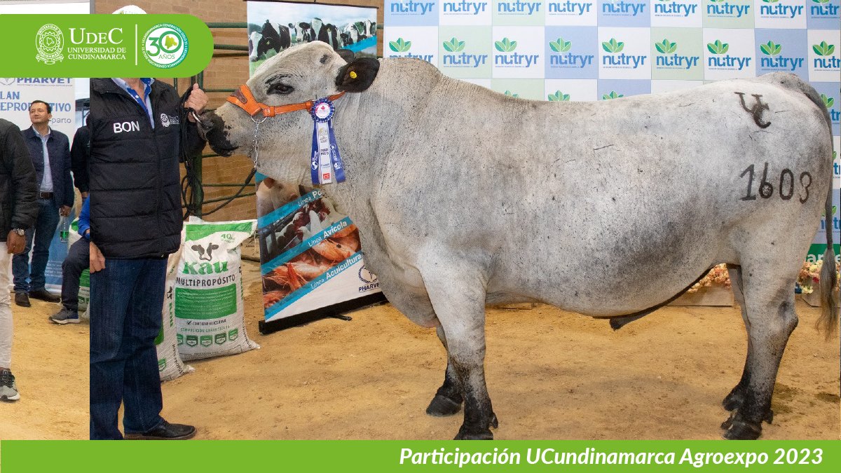 UCundinamarca en Agroexpo 2023 — imagen 12 de 19