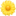 🌼 🌼