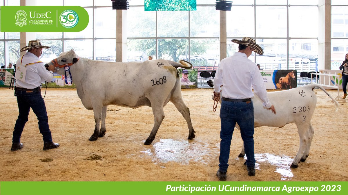UCundinamarca en Agroexpo 2023 — imagen 3 de 19