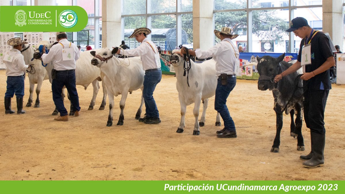 UCundinamarca en Agroexpo 2023 — imagen 4 de 19