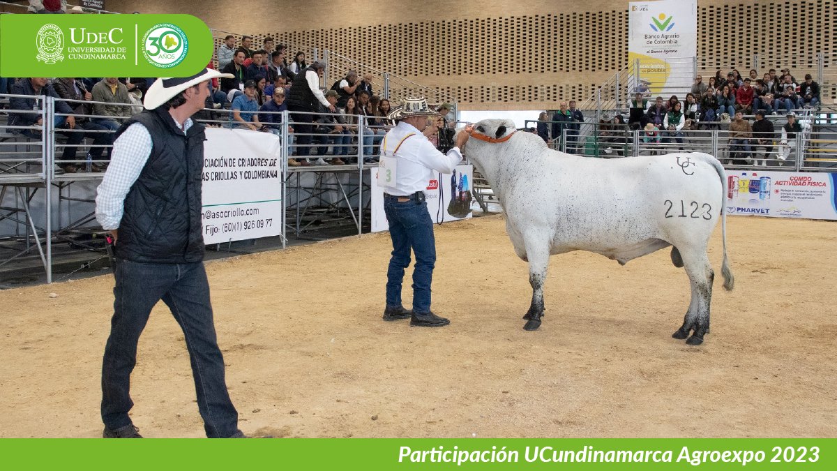 UCundinamarca en Agroexpo 2023 — imagen 7 de 19