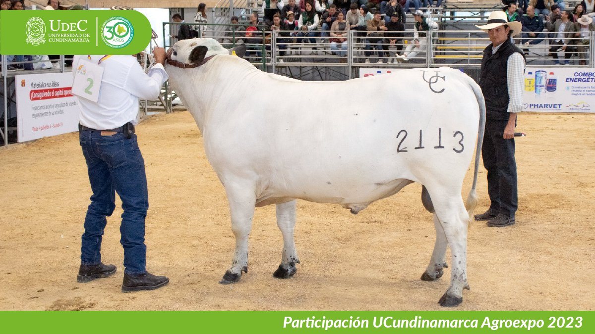 UCundinamarca en Agroexpo 2023 — imagen 8 de 19