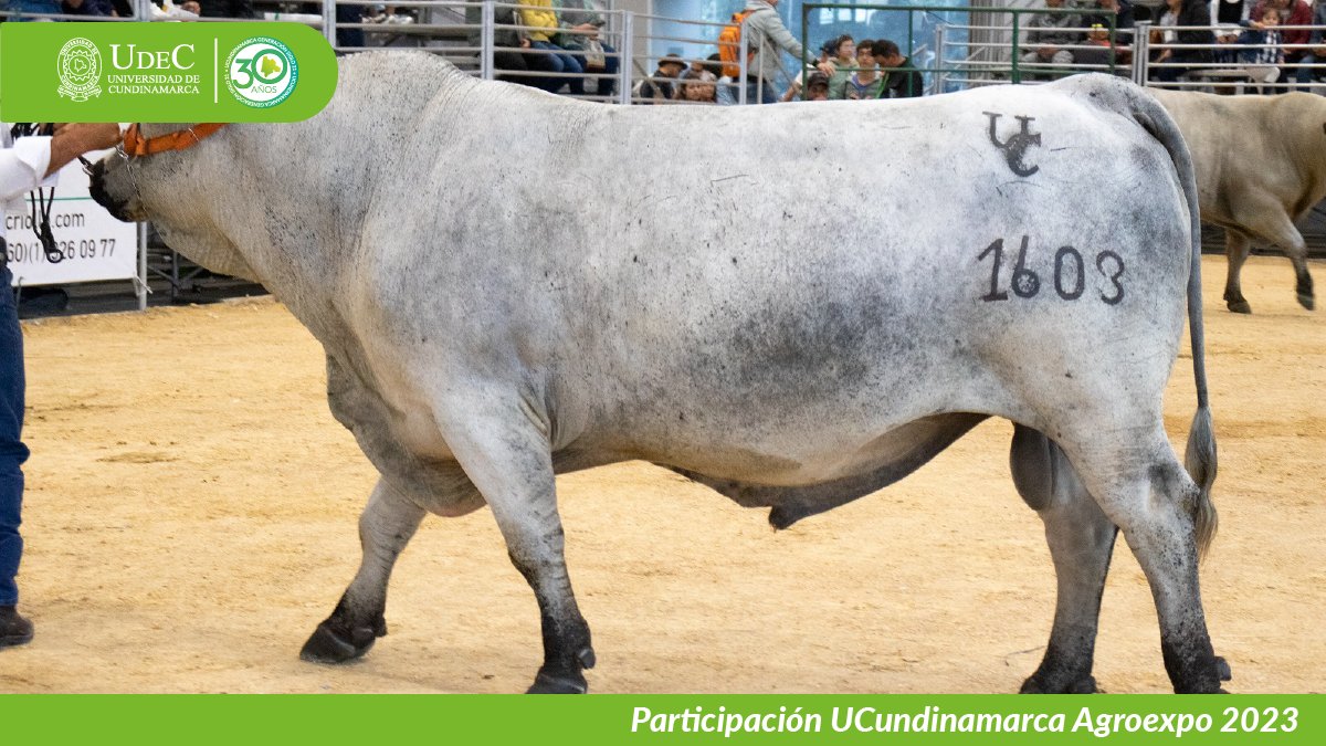 UCundinamarca en Agroexpo 2023 — imagen 9 de 19