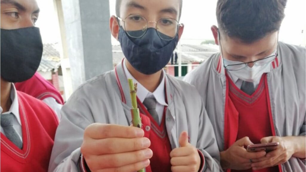UCundinamarca enseña técnicas agrícolas en colegios