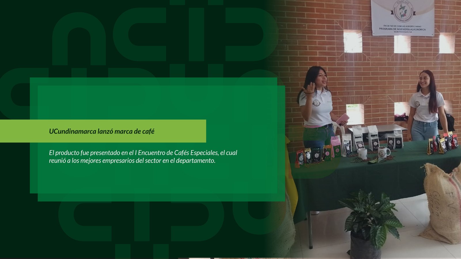 UCundinamarca lanzó marca de café