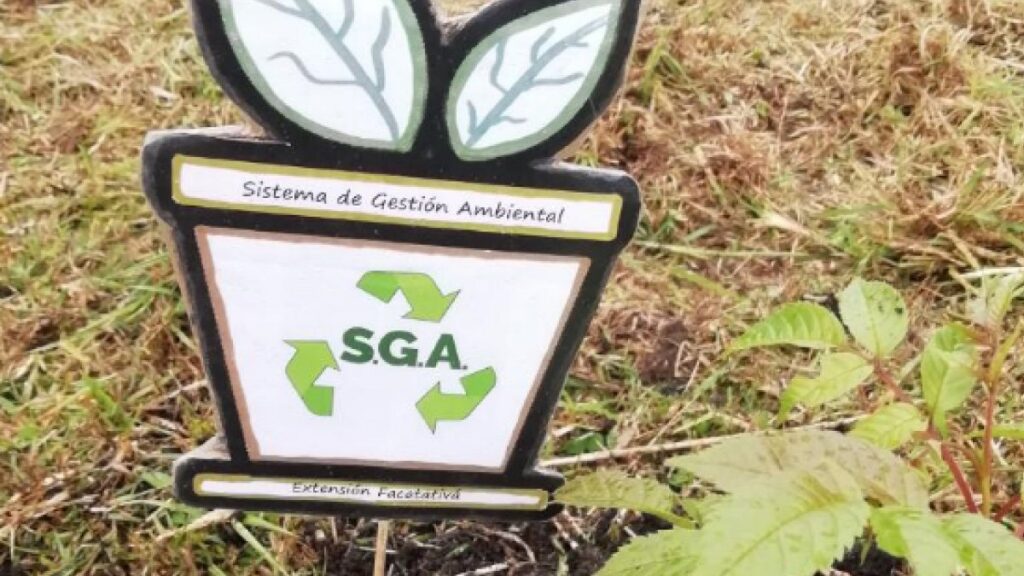 UCundinamarca, por amor a los árboles — imagen 1 de 6