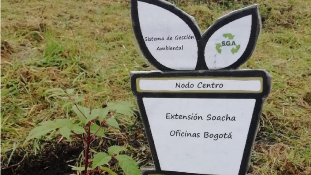 UCundinamarca, por amor a los árboles — imagen 4 de 6