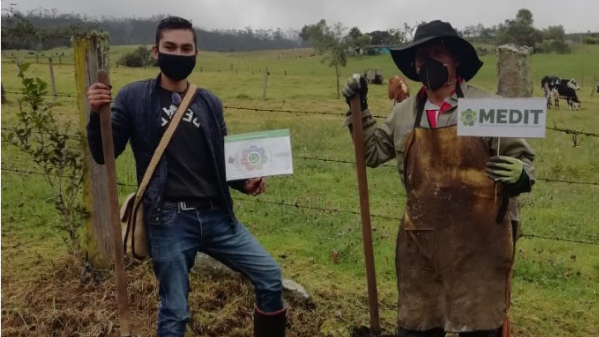 UCundinamarca, por amor a los árboles — imagen 5 de 6