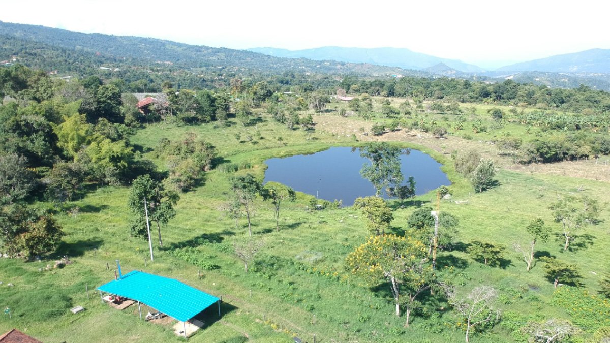 Un centro de aprendizaje natural — imagen 2 de 4