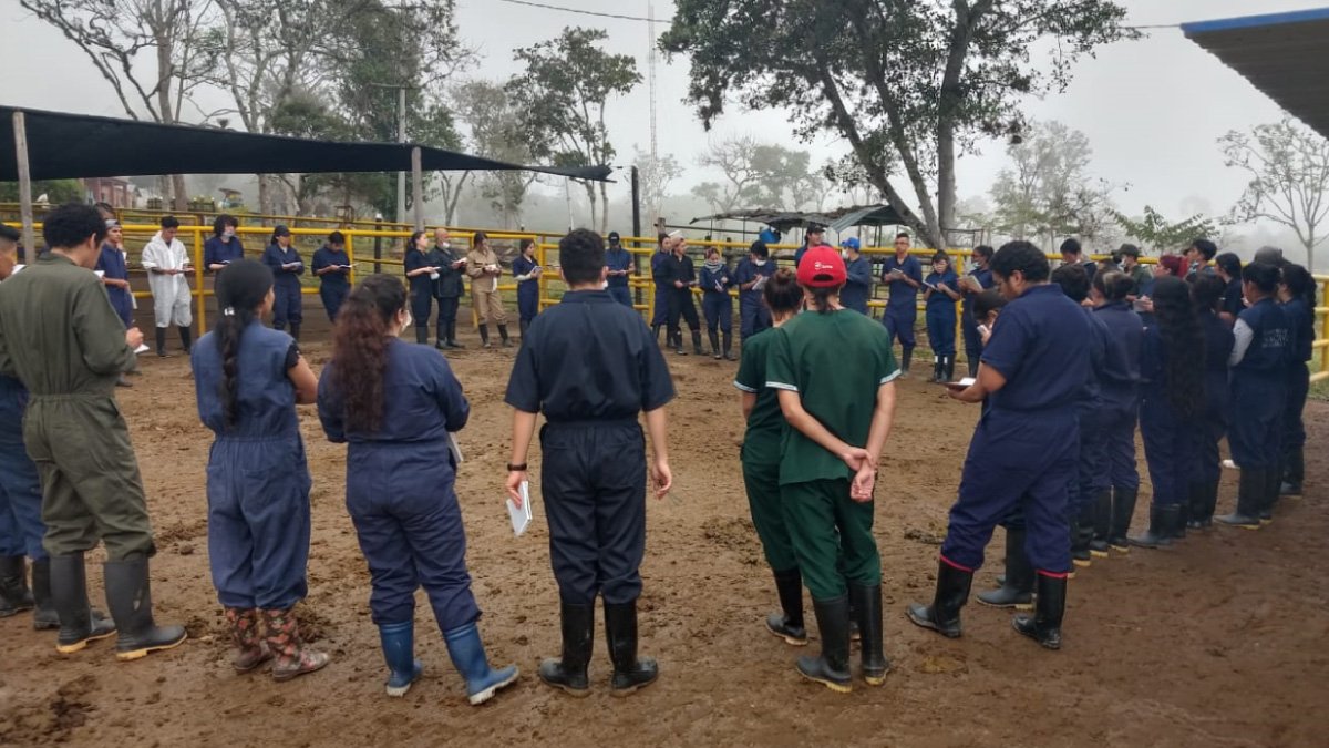 Un centro de aprendizaje natural — imagen 3 de 4
