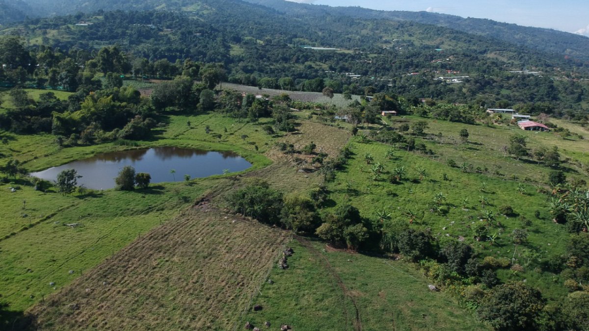 Un centro de aprendizaje natural — imagen 4 de 4