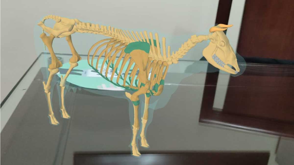 An app for dairy tourism and culture — image 2 of 4