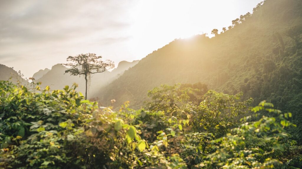 Unidos por la biodiversidad de nuestro país
