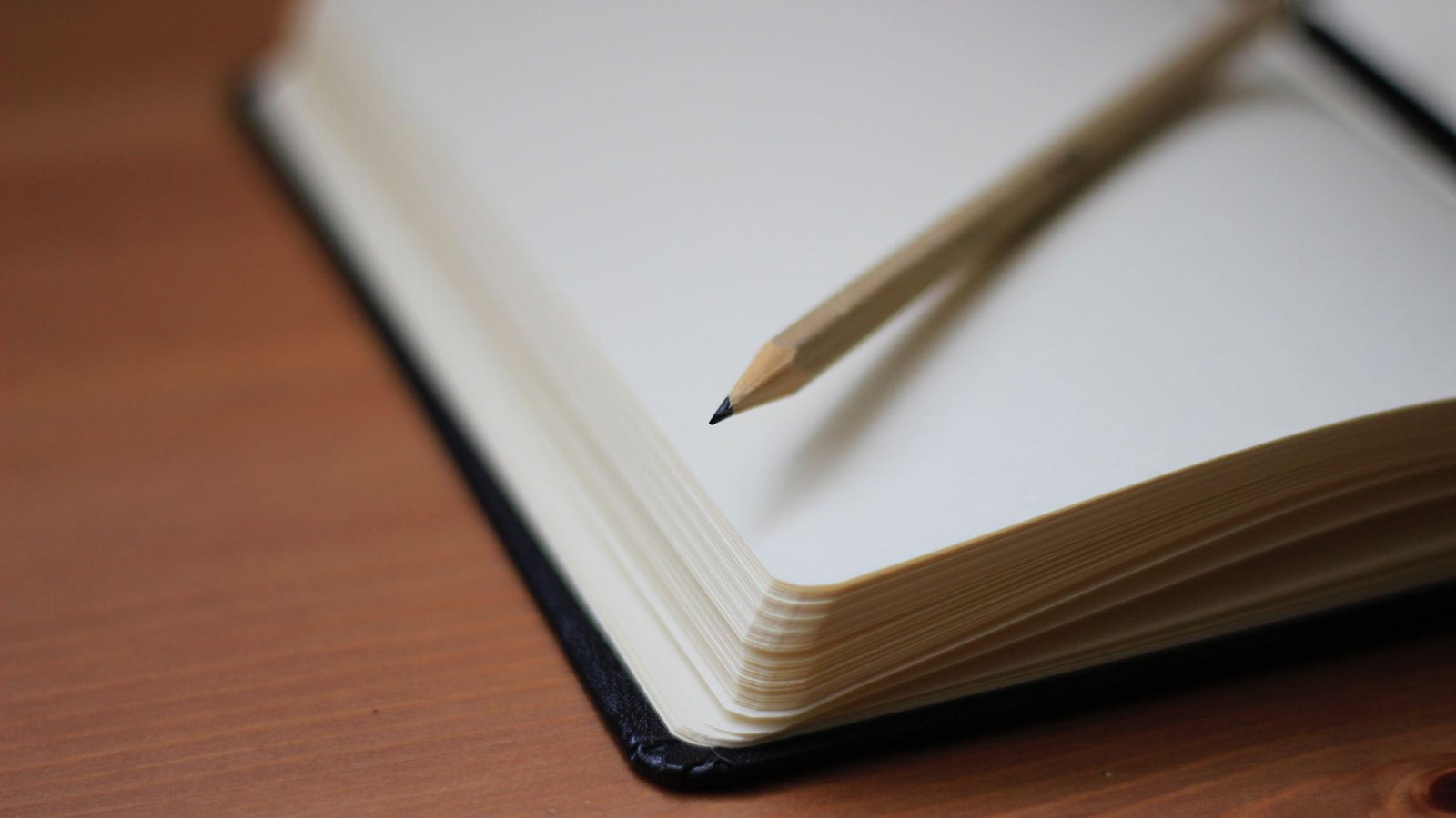 Unnamed File 1 Unnamed File 1