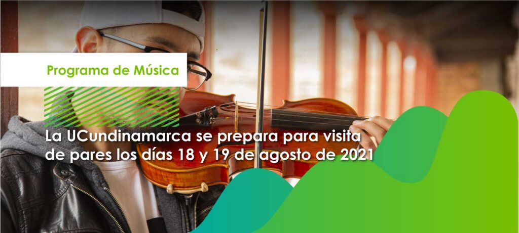 Visita de pares programa de Música